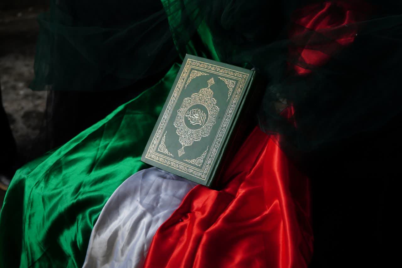 تصویر گالری