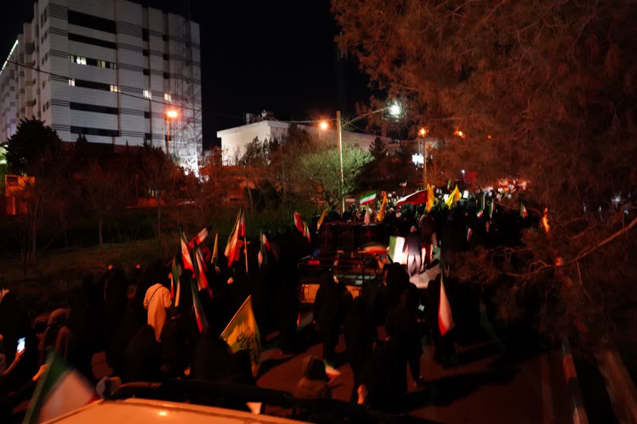تصویر گالری