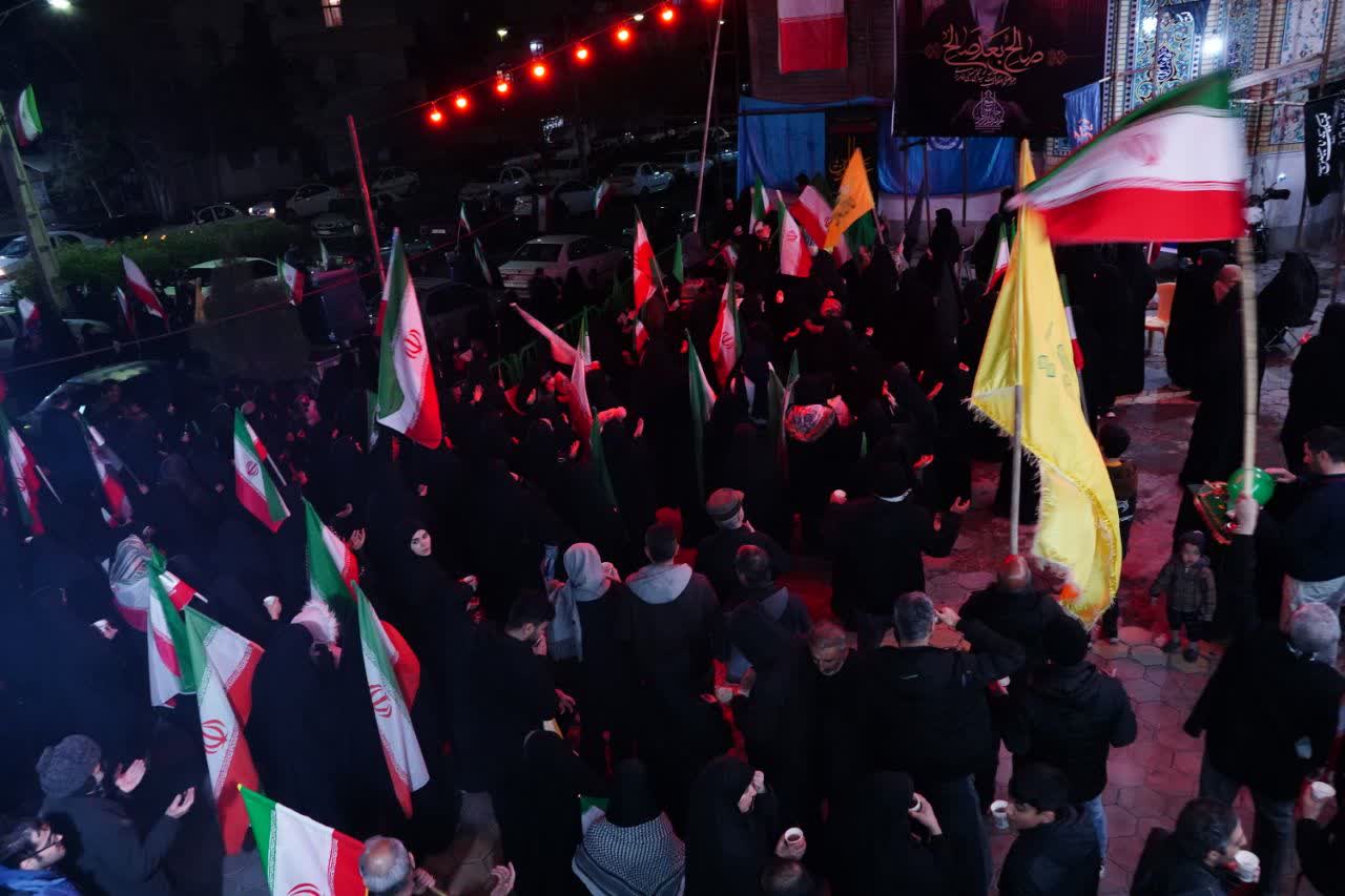 تصویر گالری