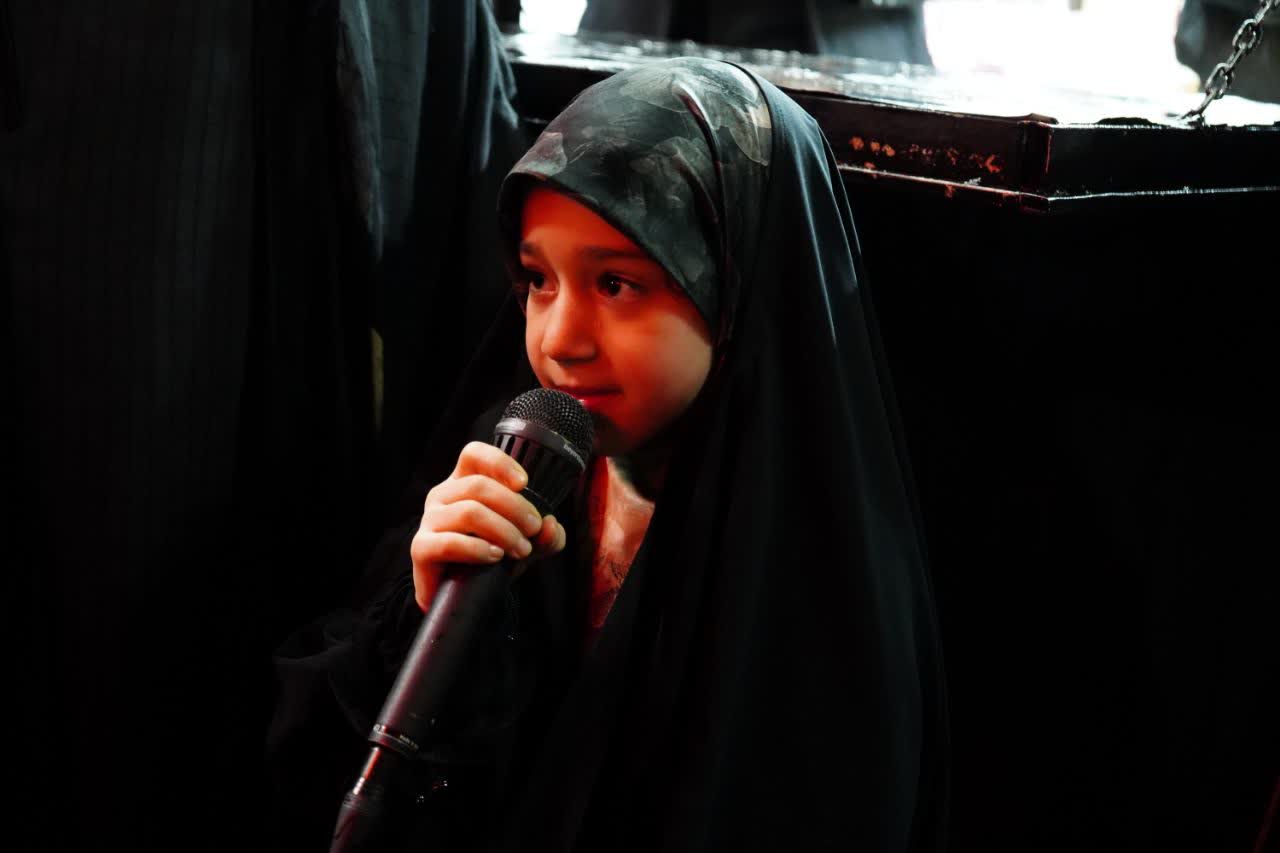 تصویر گالری