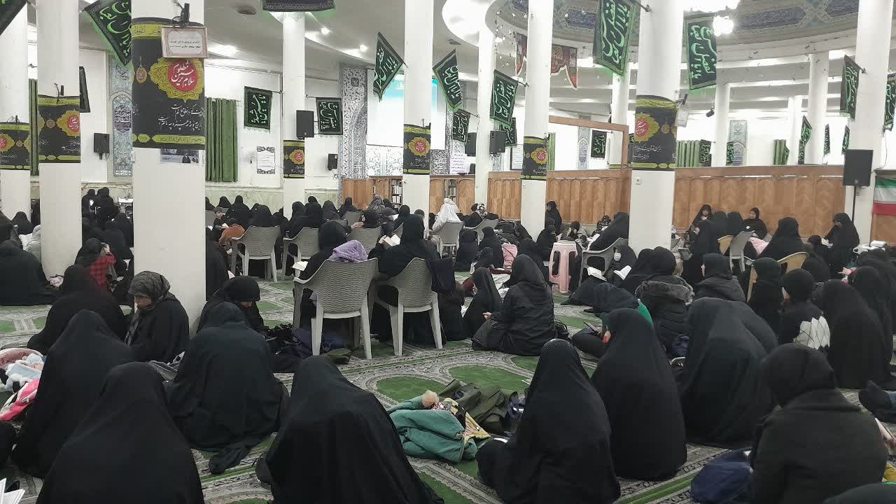 تصویر گالری