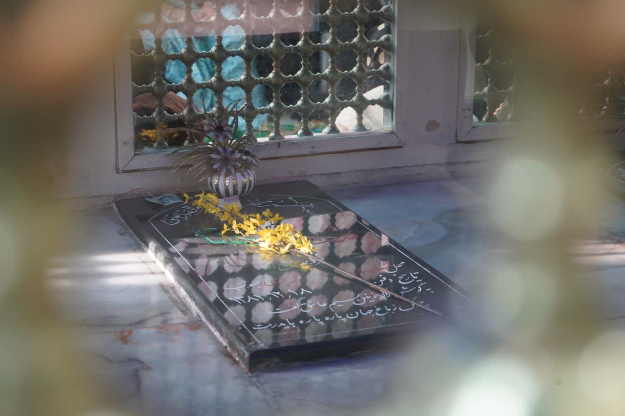 تصویر گالری