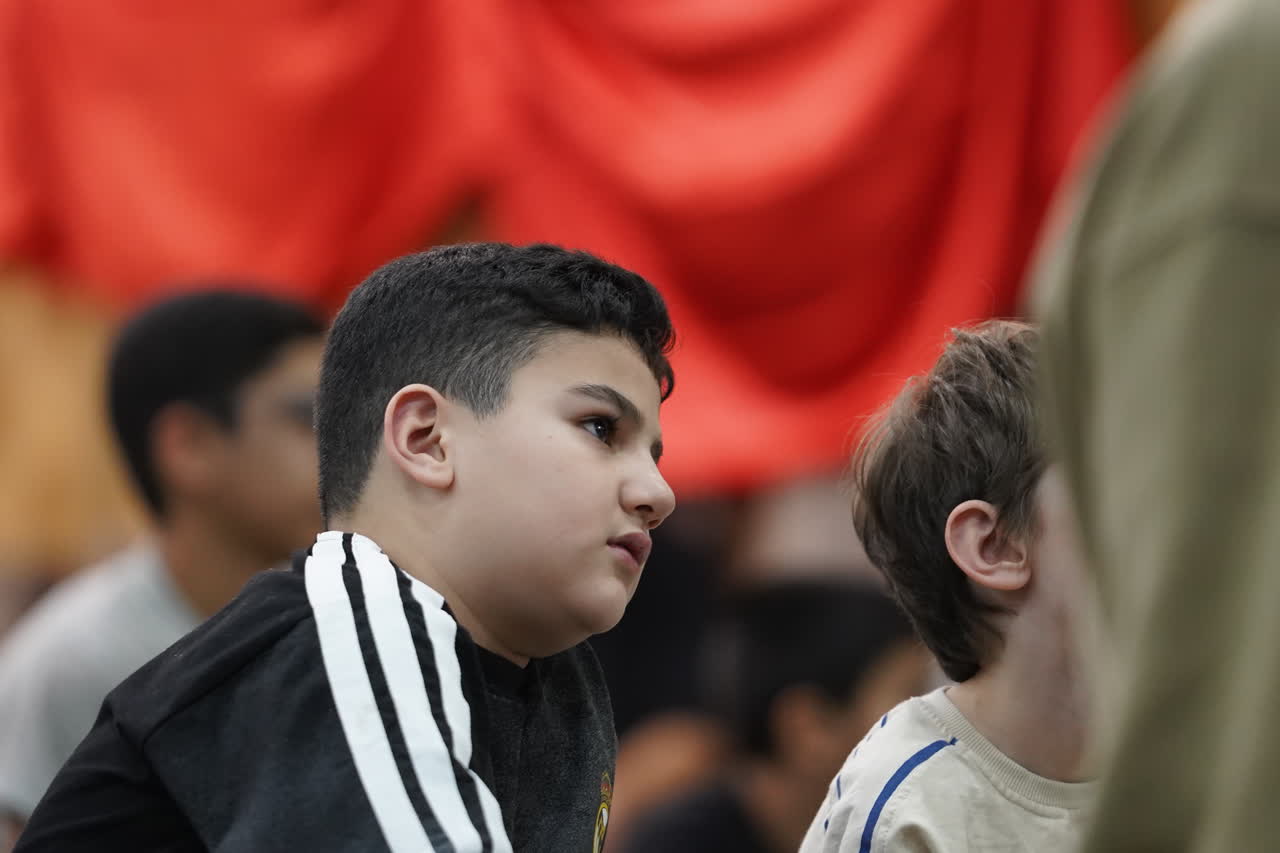 تصویر گالری