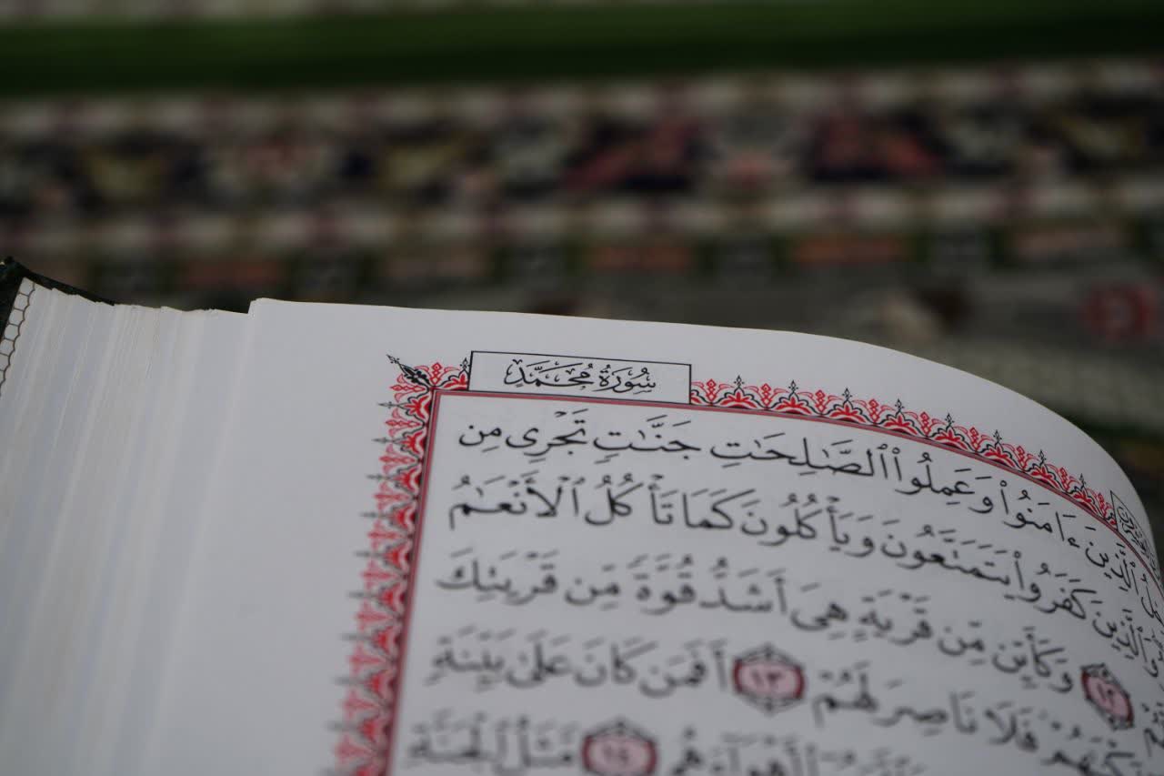 تصویر گالری