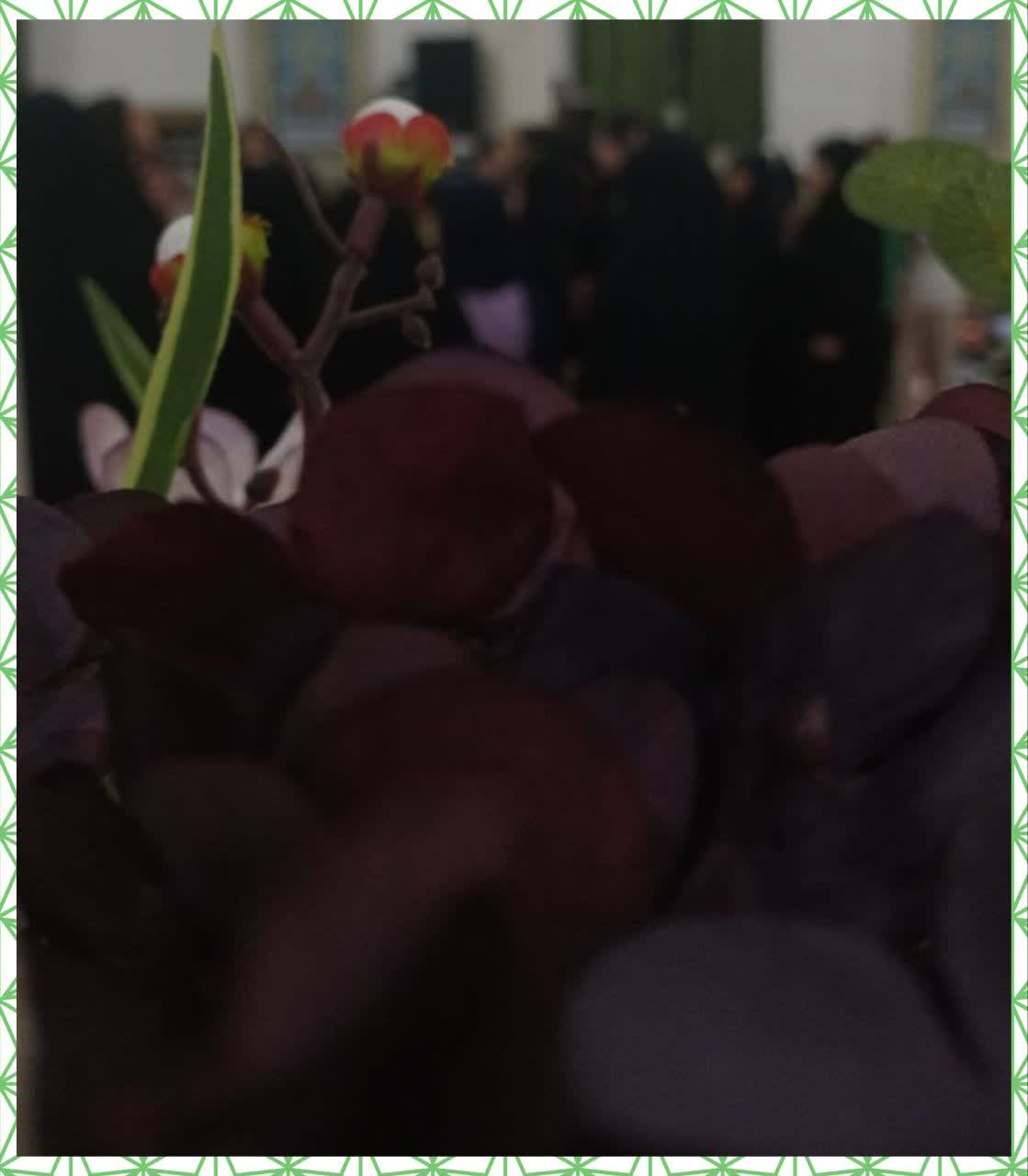 تصویر گالری