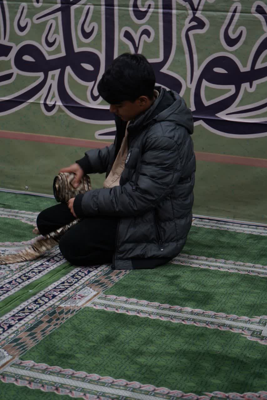 تصویر گالری