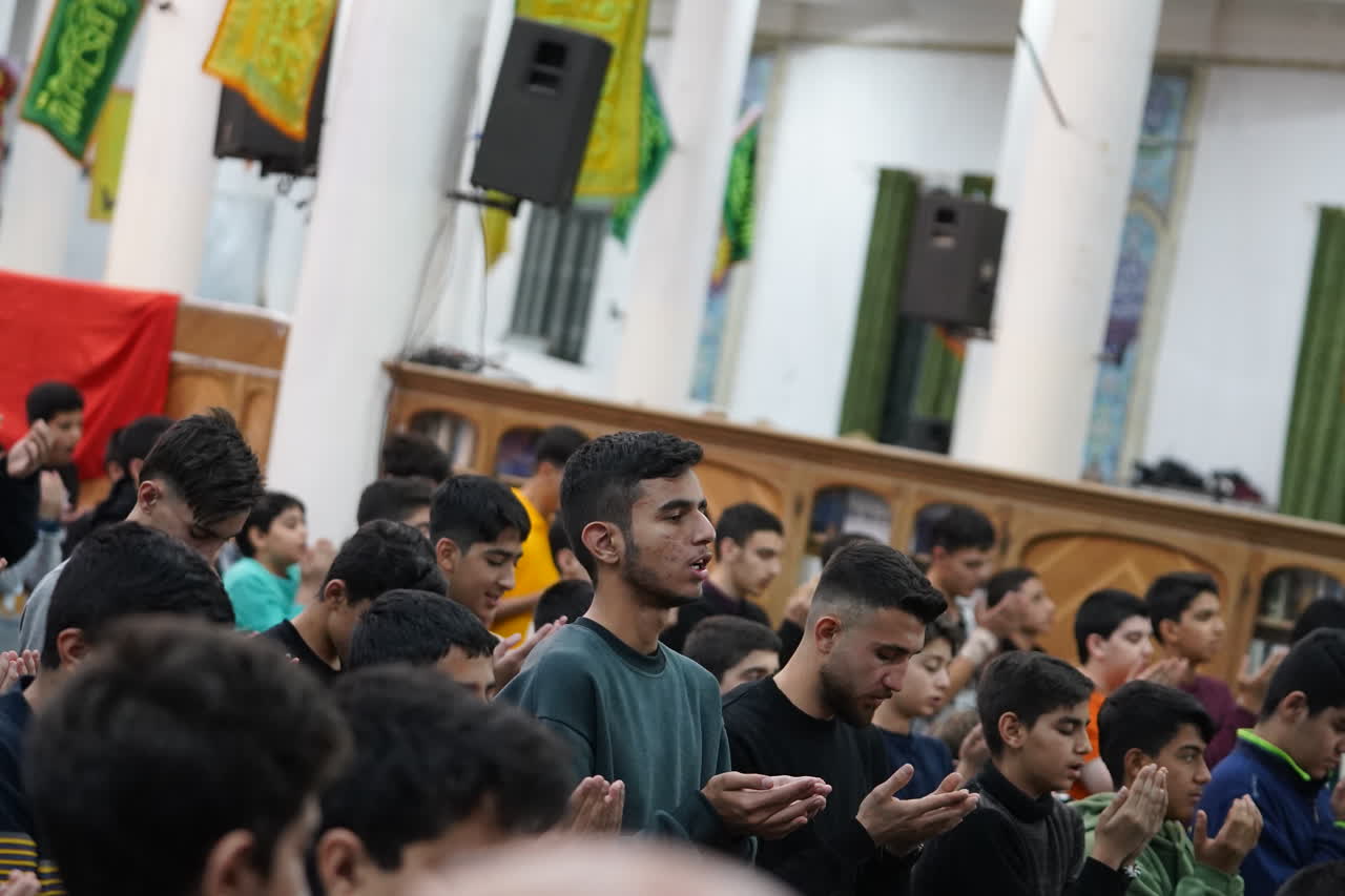 تصویر گالری