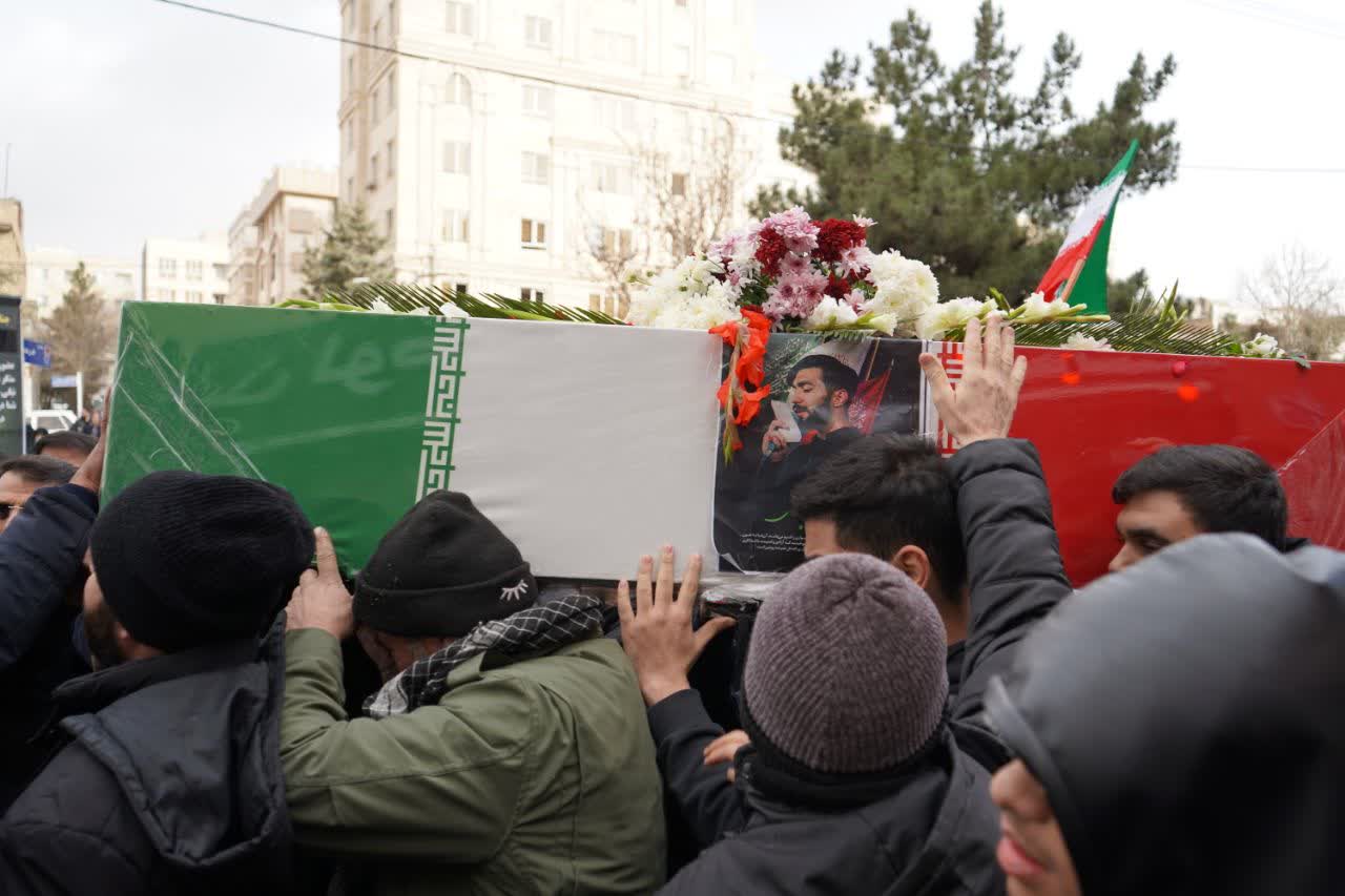 تصویر گالری