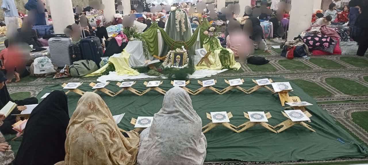 تصویر گالری