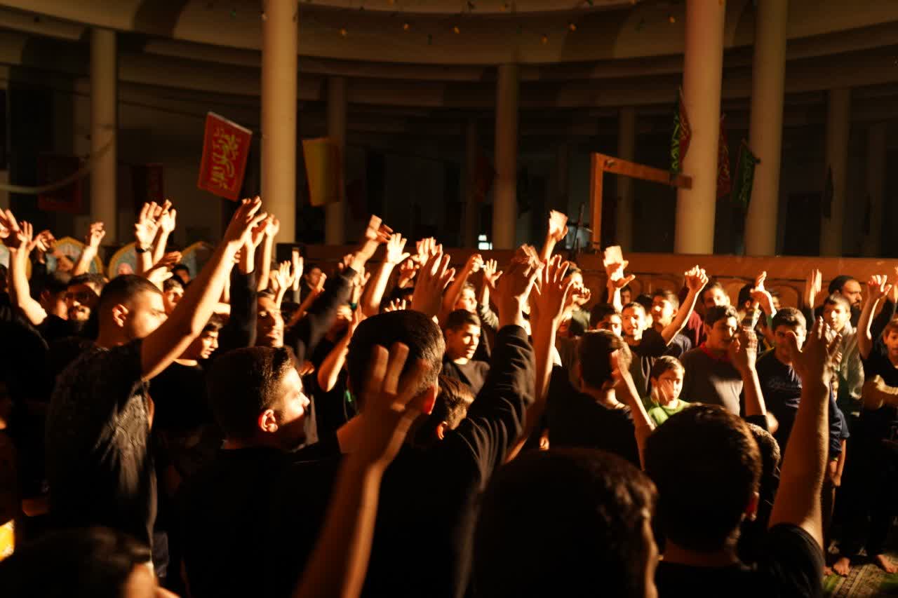 تصویر گالری