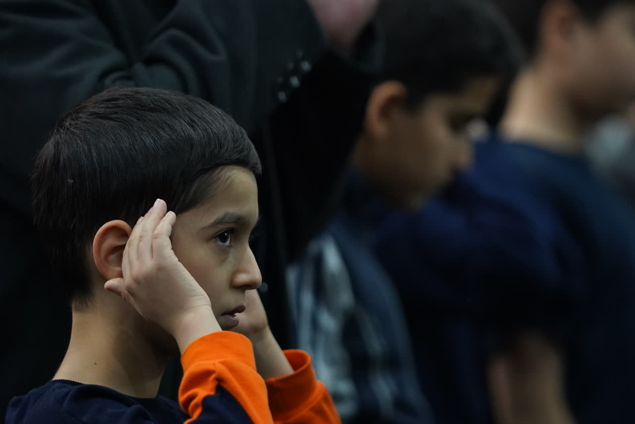 تصویر گالری