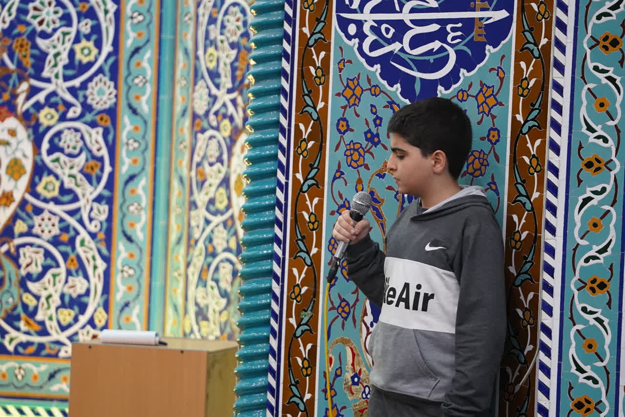 تصویر گالری